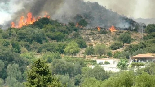 Zjarr në terren të paarritshëm në Vallandovë, autoritetet dyshojnë për dorë njeriu