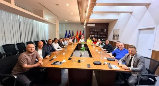 VLEN: Marrëdhëniet me Shqipërinë nuk do të bëhen peng i interesave partiake
