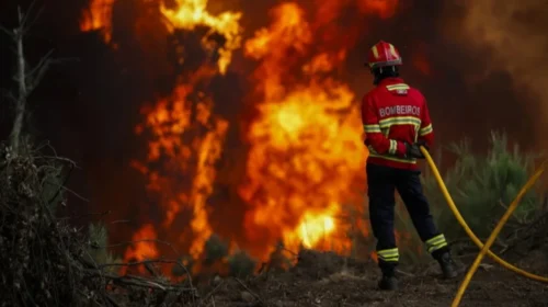 Zjarre të mëdha në Evropën Jugore, Franca, Spanja dhe Portugalia përfshihen nga flakët, mijëra hektarë të djegur