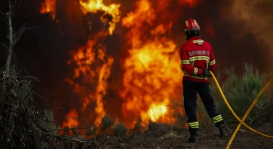 Zjarre të mëdha në Evropën Jugore, Franca, Spanja dhe Portugalia përfshihen nga flakët, mijëra hektarë të djegur
