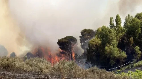 Mbi 400 persona të evakuuar pasi një zjarr i madh shkatërroi më shumë se 100 shtëpi në Norvegji