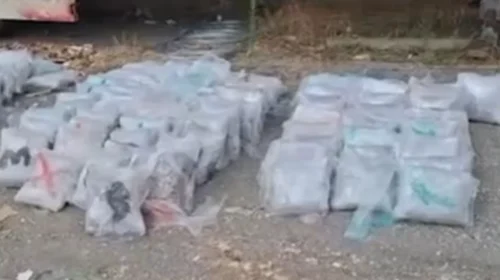 Aksioni “Vardaris” zbulon mbi 324 kg marihuanë në Selanik, në pranga një shtetas nga Maqedonia dhe një nga Kosova