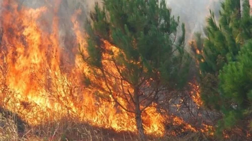 QMK: Gjatë 24 orëve janë shuar 23 zjarre, vetëm tetë mbeten aktive