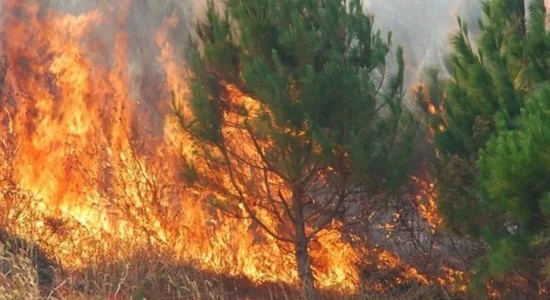 QMK: Gjatë 24 orëve janë shuar 23 zjarre, vetëm tetë mbeten aktive