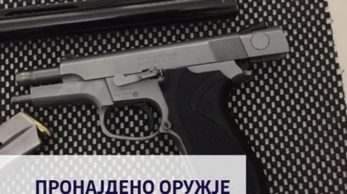 Armë janë gjetur gjatë bastisjes në fshatin Strezovcë, është arrestuar një kumanovar 77-vjeçar