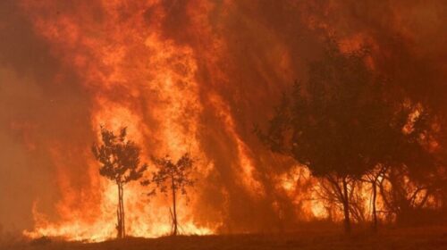 Spanjë: Afro 3 milionë hektarë pyje të djegura, evakuohet Gátova nga zjarret
