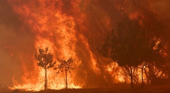 Spanjë: Afro 3 milionë hektarë pyje të djegura, evakuohet Gátova nga zjarret