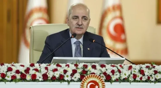 Kryeparlamentari turk, Kurtulmus: Projektligji për Solidaritetin Kombëtar, shembull unik i demokracisë