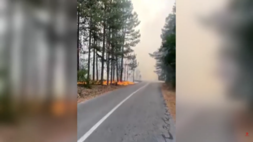 (VIDEO) Flakët po drejtohen drejt shtëpive në fshatin Paligrad