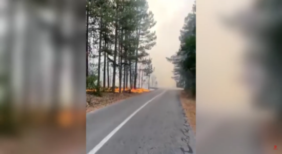 (VIDEO) Flakët po drejtohen drejt shtëpive në fshatin Paligrad