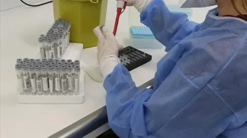 Epidemia e salmonelës i lidhur me jalapenos përhapet në 27 shtete të SHBA-së