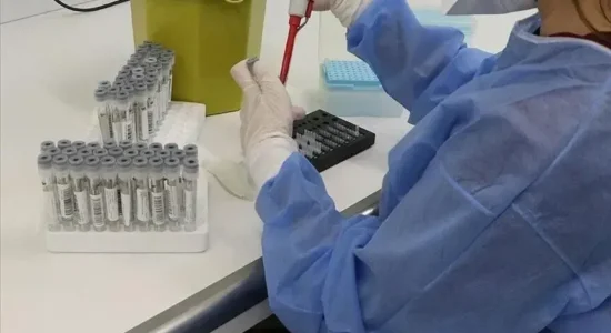 Epidemia e salmonelës i lidhur me jalapenos përhapet në 27 shtete të SHBA-së