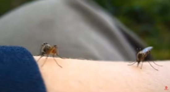 (VIDEO) Edhe një pacient ndërroi jetë, pesë janë në kujdes intensiv