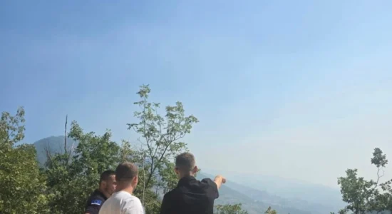 QMK: Të gjitha resurset shtetërore janë angazhuar në terren për mbrojtje të pyjeve Kitka