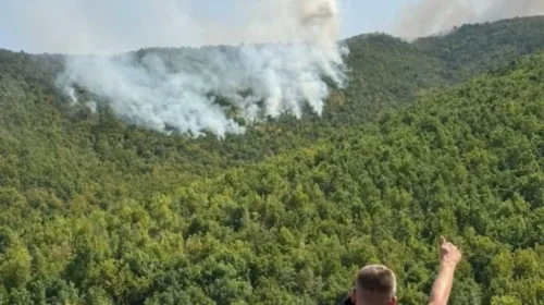 Katër avionë janë angazhuar për shuarjen e zjarrit mbi fshatin Gaber