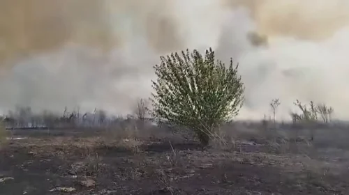 Zjarr i madh ka shpërthyer në rajonin e Strumicës midis fshatrave Banicë dhe Vodoçë, shpallet evakuim i banorëve nga lagja Sofilar