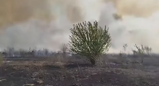 Zjarr i madh ka shpërthyer në rajonin e Strumicës midis fshatrave Banicë dhe Vodoçë, shpallet evakuim i banorëve nga lagja Sofilar