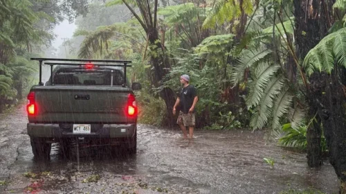 Më shumë se 100,000 persona pa energji elektrike në Hawaii nga uragani Lala