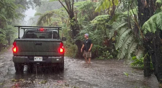 Më shumë se 100,000 persona pa energji elektrike në Hawaii nga uragani Lala