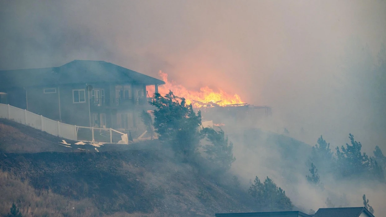 Zjarre masive në Washington  digjen 600 shtëpi dhe biznese   evakuohen mbi 60 mijë banorë