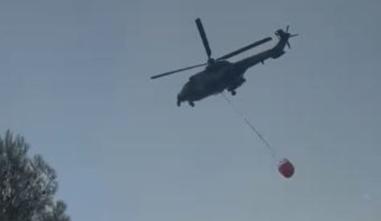 Zjarri në masivin pyjor të Krujës, rinis ndërhyrja nga toka dhe ajri