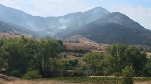 Angellov: Në Prilep u shmang një katastrofë e madhe, zjarri ishte afruar tek shtëpitë e fshatit Bonçe