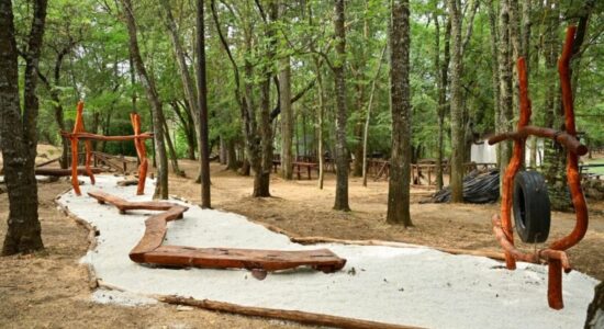 Gjorgjievski: Nga drunjtë e rrëzuar në Vodno – ndërtohet një park i ri motorik