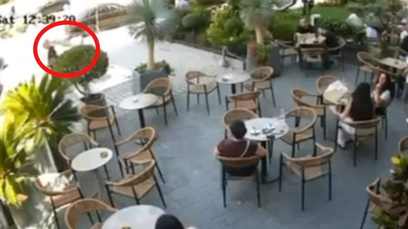 Atentati i dështuar në Elbasan, zbardhet dëshmia e autorit: Doja ta vrisja se më ka lënë vëllain të paralizuar