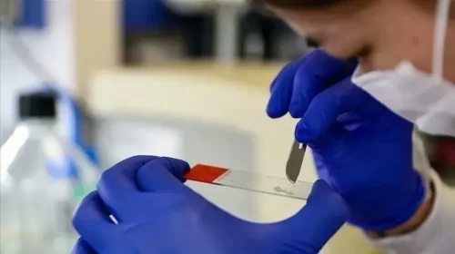 Studiuesit kinezë konfirmojnë ekzistencën e një forme të re të materies