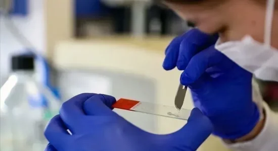 Studiuesit kinezë konfirmojnë ekzistencën e një forme të re të materies