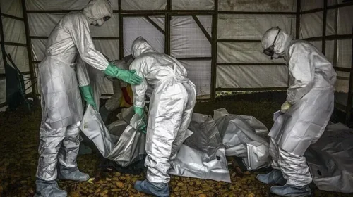 Rritet në mbi 2.800 numri i të vdekurve nga Ebola në RD të Kongos