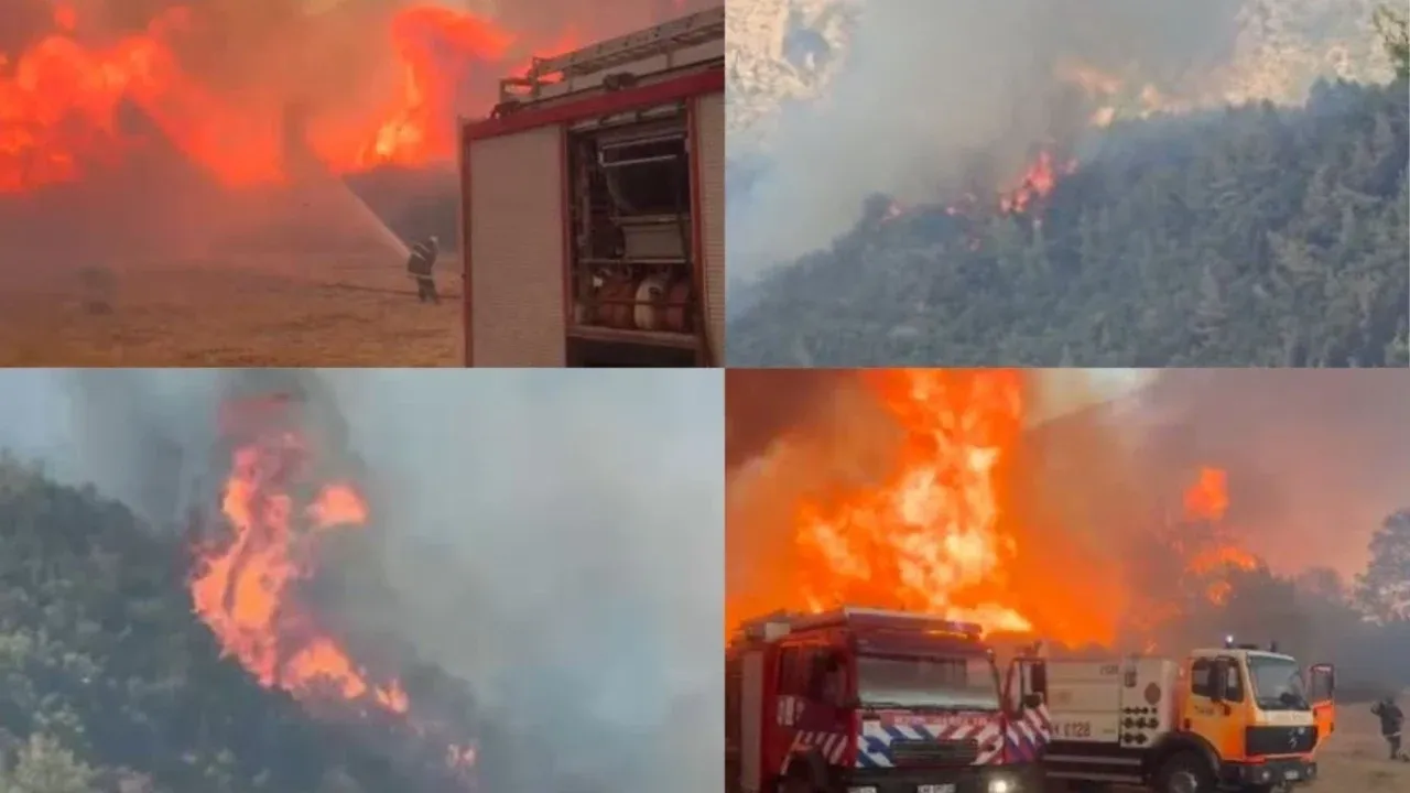 Situatë apokaliptike në rrethinat e Tiranës, sipërfaqe të mëdha të përfshira nga zjarret