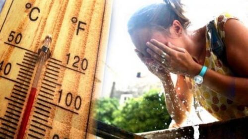 (VIDEO) Temperaturat e larta, qytetarët shmangin ekspozimin në diell