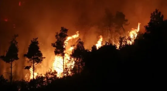 Zjarri pyjor në kufirin Belgjikë-Gjermani ngadalësohet pas shiut, zjarrfikësit në gatishmëri të lartë