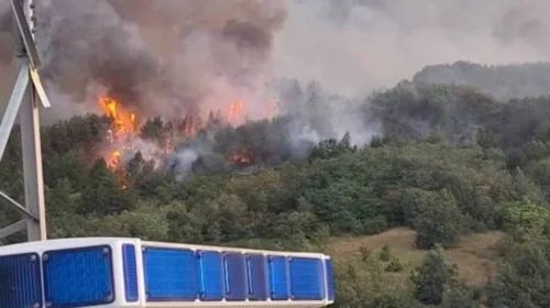 Shtatë zjarre aktive, për 24 orë janë regjistruar gjithsej 24