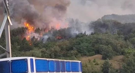 Shtatë zjarre aktive, për 24 orë janë regjistruar gjithsej 24