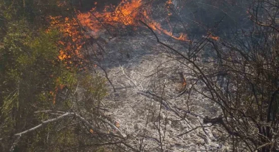 Gjithsej 37 zjarre në hapësira të hapura në mbarë vendin gjatë 24 orëve të kaluara, tre janë aktivë