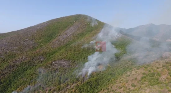 Zjarre aktive pranë Makedonski Brodit dhe mbi fshatin Moranë