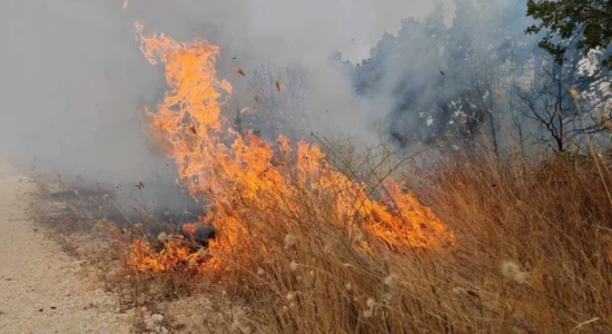 Gjashtë zjarre aktive në RMV, zjarrfikësit dhe banorët e Zelenikovës shpëtuan shtëpitë gjatë natës