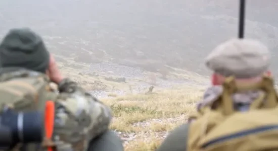 (VIDEO) Vrasja e dhive të egra në Mavrovë, kërkohet hetim urgjent