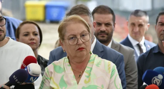 Janevska: Do të vendosim sistem stabil për pengimin e dhunës midis bashkëmoshatarëve