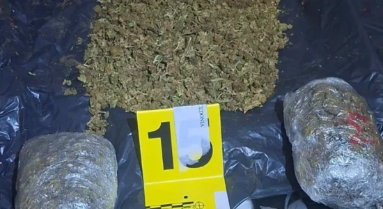 Bastisje në Tetovë, gjendet marihuanë – ndalohen dy persona