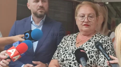 (VIDEO) Janevska: Bashkimi në grupe më të mëdha i socializon fëmijët