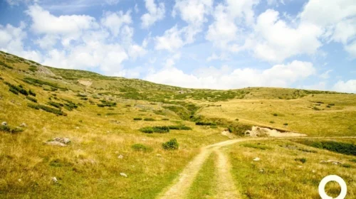 Gjendet i vdekur një bjeshkatar në Malin Sharr