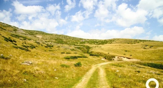 Gjendet i vdekur një bjeshkatar në Malin Sharr