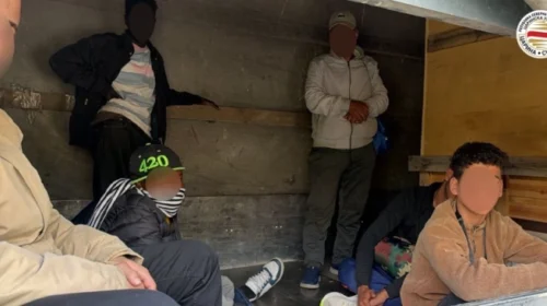(VIDEO) Kapen 12 migrantë nga Egjipti dhe Sudani