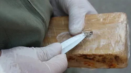 Spanja sekuestron mbi 1,2 ton kokainë të fshehur në një ngarkesë me arra kokosi