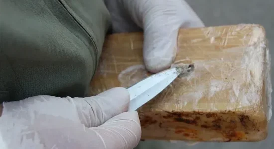 Spanja sekuestron mbi 1,2 ton kokainë të fshehur në një ngarkesë me arra kokosi