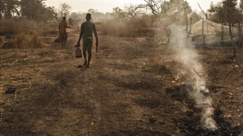 Nigeri, 37 persona të dyshuar si minatorë të paligjshëm vdesin në paraburgim