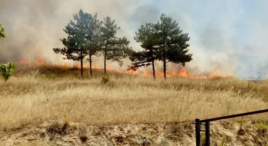 Mbrëmë janë regjistruar 42 zjarre në hapësira të hapura në Maqedoni, pesë janë aktive
